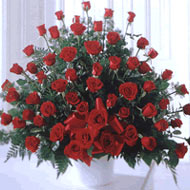 Centro de Rosas Rojas