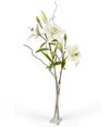 Florero Lilium