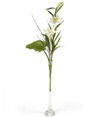 Florero Lilium